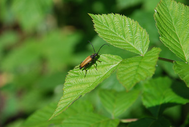 Similar image 22291487