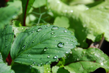 Similar image 22291488