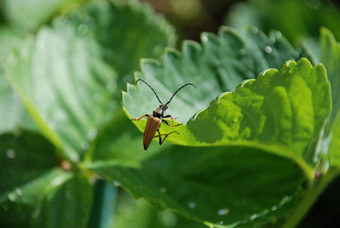 Similar image 22291489