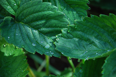 Similar image 22291490