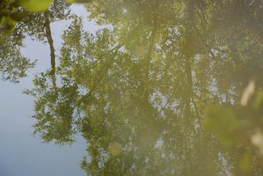 Similar image 22291491