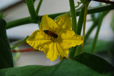 Similar image 22291492