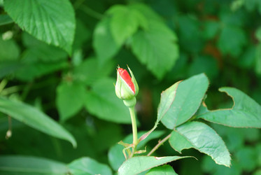 Similar image 22291494