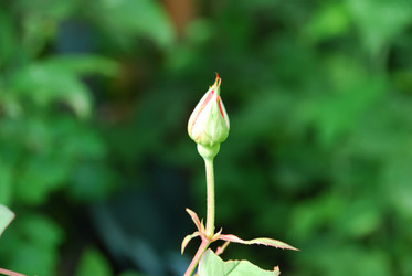 Similar image 22291495