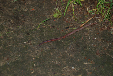 Similar image 22291497