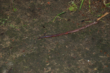 Similar image 22291498