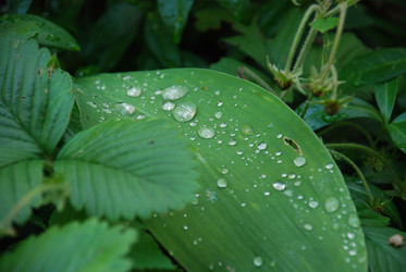 Similar image 22291499