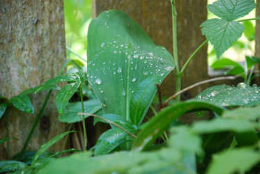 Similar image 22291500