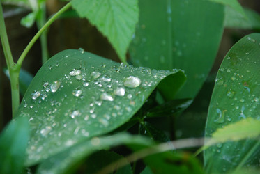 Similar image 22291701