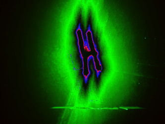 Similar image 22291709