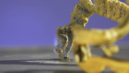 Similar image 22326008