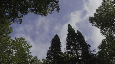 Similar image 22326380