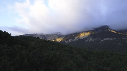 Similar image 22329232