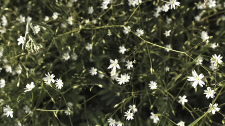 Similar image 22329583