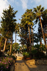 Similar image 22291278