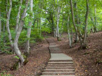 Similar image 22290491