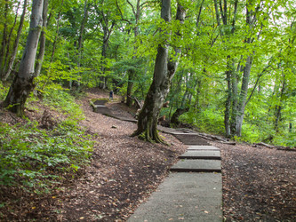 Similar image 22290492