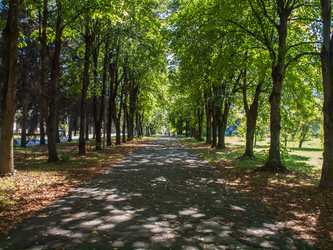 Similar image 22290493