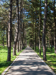 Similar image 22290497