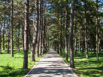 Similar image 22290498