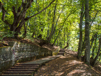 Similar image 22290499