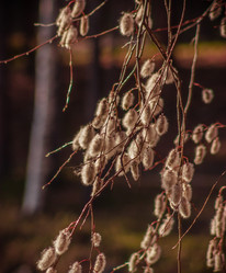 Similar image 22300982