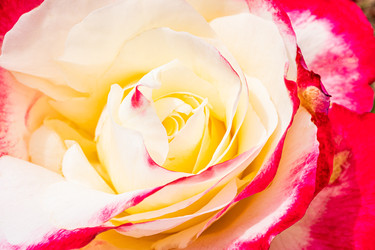 Similar image 22290501