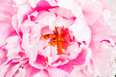 Similar image 22290502