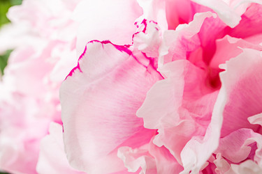 Similar image 22290503