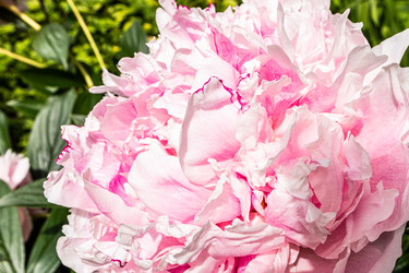 Similar image 22290504