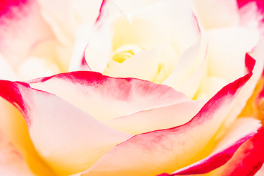 Similar image 22290506