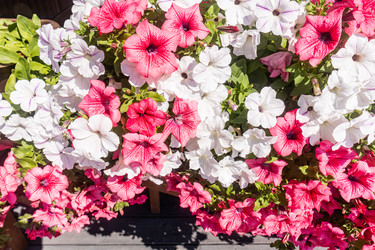 Similar image 22290507