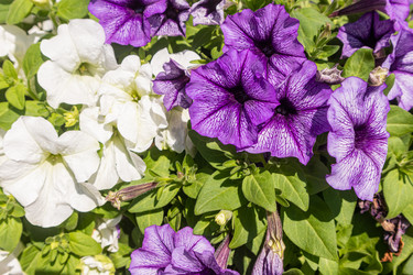 Similar image 22290508