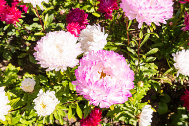 Similar image 22290509