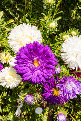 Similar image 22290510