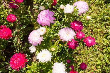 Similar image 22290511