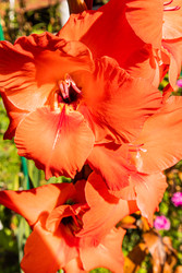 Similar image 22290512