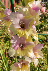 Similar image 22290513