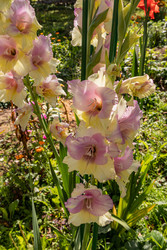 Similar image 22290514