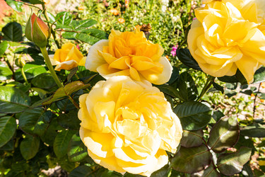 Similar image 22290515