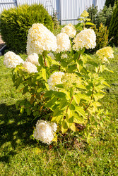 Similar image 22290517