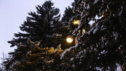 Similar image 22328604