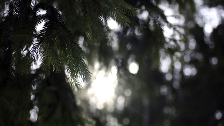 Similar image 22329592