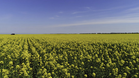 Similar image 22329594