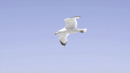 Similar image 22329875