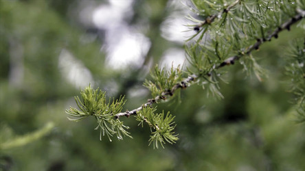 Similar image 22330479