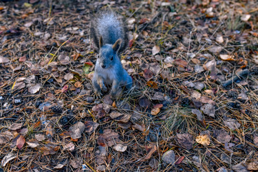 Similar image 22290293