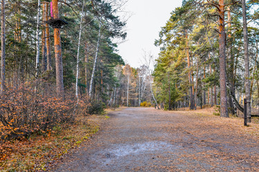 Similar image 22290294