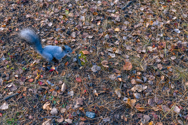 Similar image 22290295