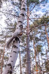 Similar image 22290296